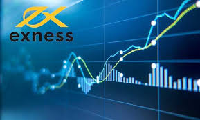 Exness Education and learning