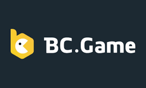 Todo lo que necesitas saber sobre BC Game 14