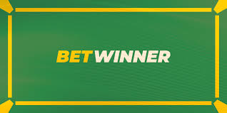 Discover Exciting Gaming Options at Betwinner Casino