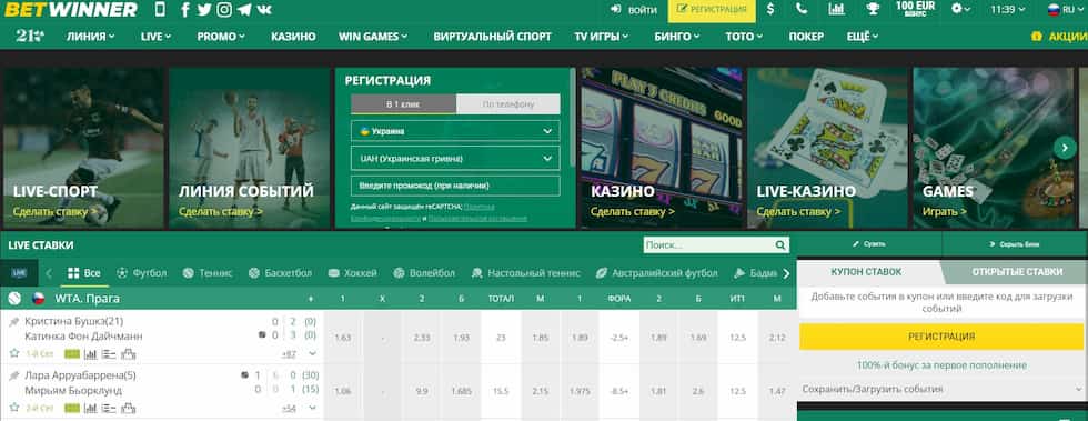 Discover Exciting Gaming Options at Betwinner Casino