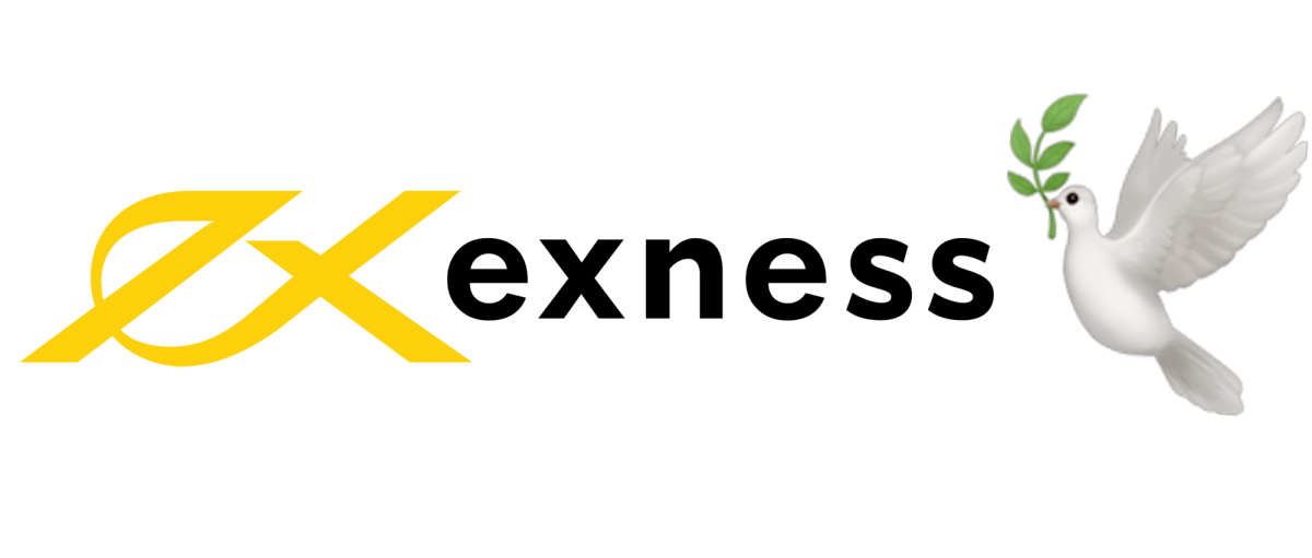 Exness Trading Platforms A Comprehensive Guide to Trading Success