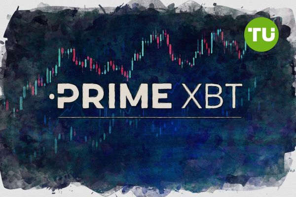 How to Contact PrimeXBT