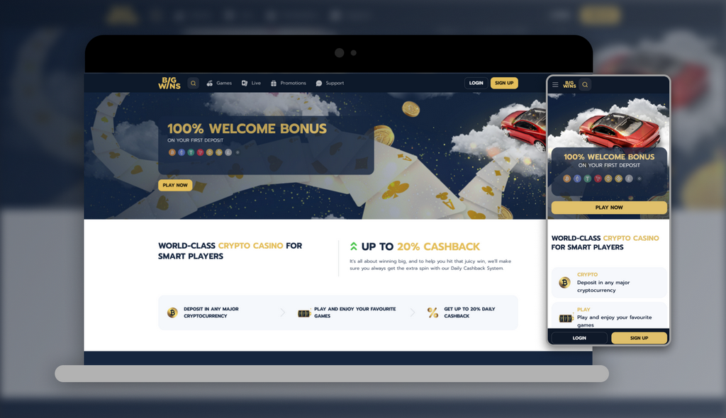 BigWins Gambling Enterprise Review & Ratings by Actual Players - 2025